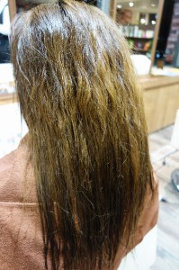 DSC02947_resize1